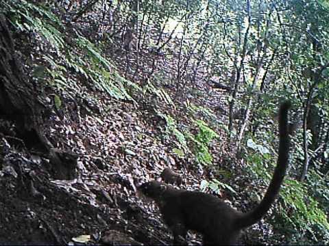 15' Video Contest | Mario Chavez, Nicaragua