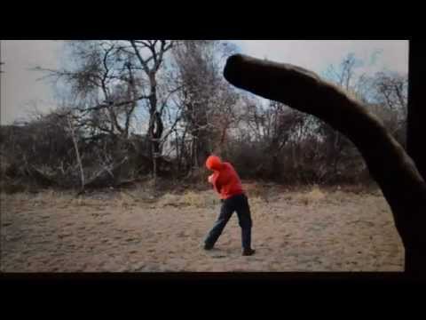 A Tribute To Ray Harryhausen.