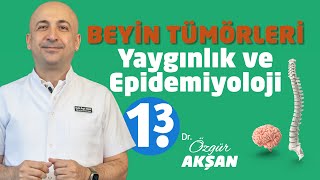 Beyin Tümörleri | 1.3 Beyin Tümörlerinde Yaygınlık ve Epidemiyoloji | Dr Özgür Akşan