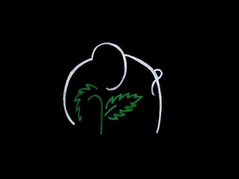 Koprive feat. Csabi & Szasza - Kerülöd a napfényt (Elefánt cover live)