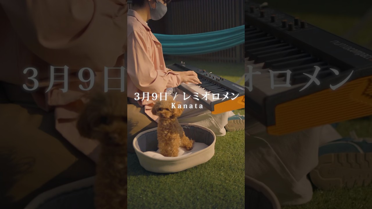【卒業ソング】3月9日/レミオロメン ピアノversion #shorts