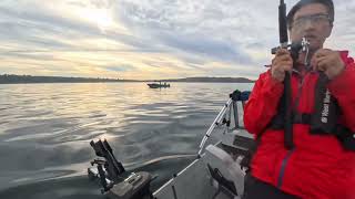 2025年シーズン最後のボート釣りでのサーモン