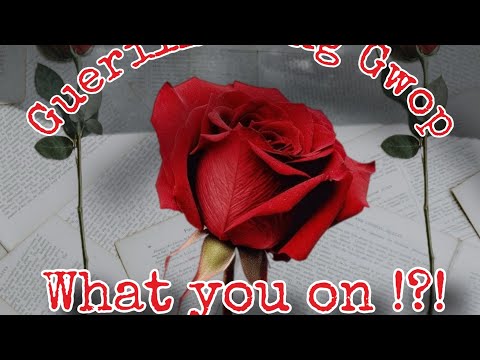 GuerillaGang Gwop - what you on