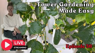 📱 Tower Gardening Made Easy LIVE CAM #towergarden #hydroponicgardening #garden #farm #aeroponic