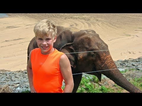 Jeep safari. Sri Lanka