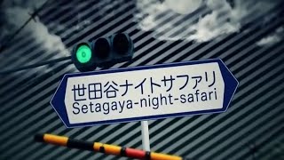 - 世田谷ナイトサファリ / のんちゃん【歌ってみた】