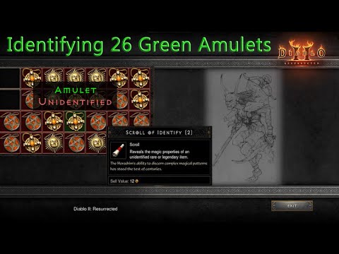 Time to Identify all those (many many) green amulets! | Diablo 2: Resurrected