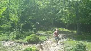 Anteprima video YouTube