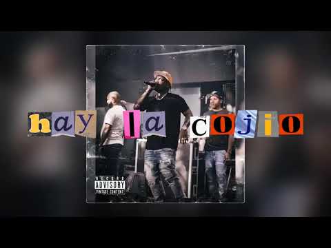 hay hay hay – Braulio fogón / Hay la cogió / audio oficial