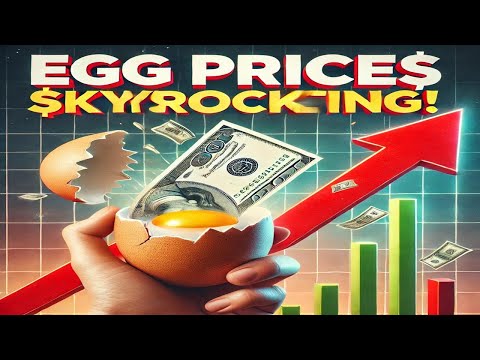 Why Are Egg Prices Skyrocketing
