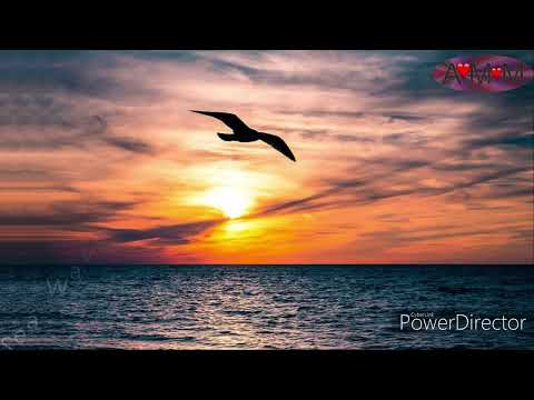 RUMORE DEL MARE  e Gabbiani - Immagina di essere in riva al Mare con il SUONO delle ONDE.