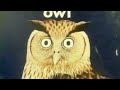Sesame Street Hand Tricks The Letter O Words