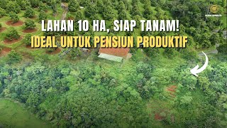 Download lagu Lahan 10 Hektar Kebun Durian, Ideal Untuk Pensiun Produktif! mp3 Download lagu Lahan 10 Hektar Kebun Durian, Ideal Untuk Pensiun Produktif! mp3