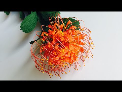 ABC TV | How To Make Leucospermum Paper Flower From Crepe Paper - Craft Tutorial