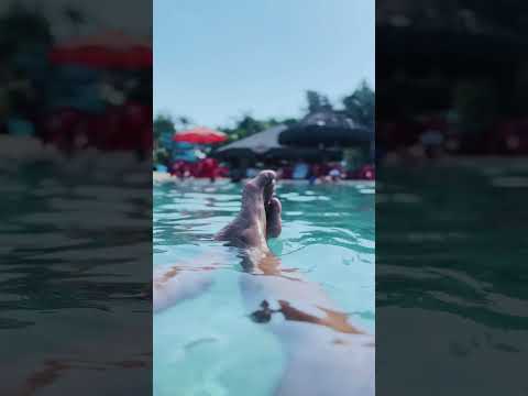 LAGOA THERMAS CALDAS NOVAS LAZER ✈️🌍 GUIABRASILIA 2026