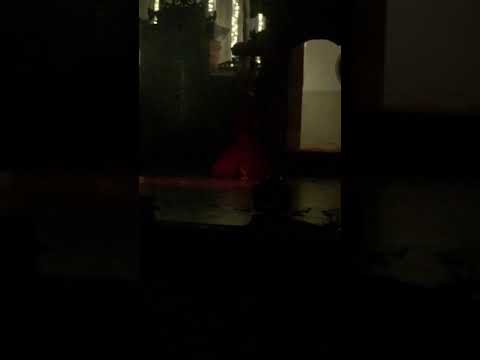 AA Agung Sri Muliaraya - Tresna Asih Rerama / Launching Album Bali Kumara Generasi 6