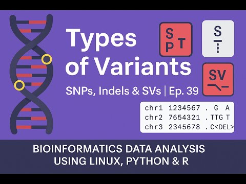 Types of Variants in Variant Calling | SNPs, Indels & SVs | Ep. 39