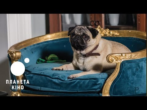 Кріс Гуджер - відео обкладинка