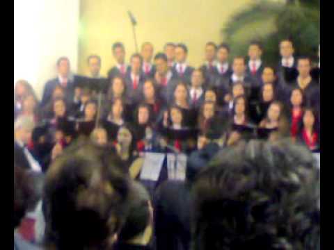 Amicus Cernica 2009.mp4