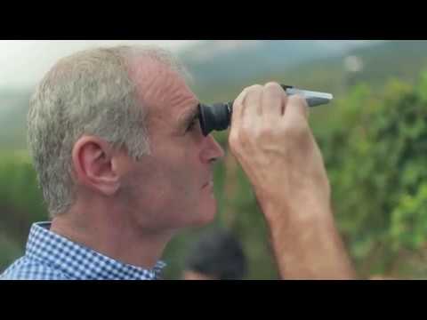 WEINLAND SUEDTIROL - Von Weinberg ins Glas (RAI Suedtirol - 06.2017)