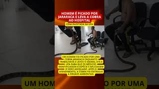 Homem é picado por jararaca e leva a cobra à UPA