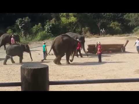 download lagu mp3 mp4 Fillar, download lagu Fillar gratis, unduh video klip Fillar