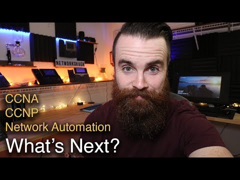 Programmers Becoming Network Engineers Collab with SimpleProgrammer