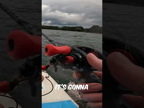 WHY YOU SHOULD SWITCH TO A BAITCASTER #fishing #shorts