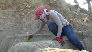 Teknolojinin Beşiği: YUMUKTEPE HÖYÜĞÜ