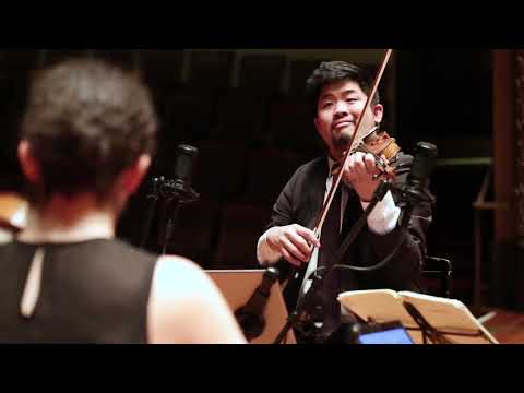 Verona Quartet - Brahms String Quartet in A minor Op. 51 No. 2  (3/4)