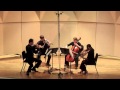 Schumann - Quartet No. 3 in A Major - Mvt. I  (Kontras Quartet)