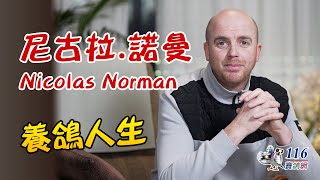 【強豪名家】尼古拉.諾曼｜【Super Fancier】Norman Nicolas & Filip