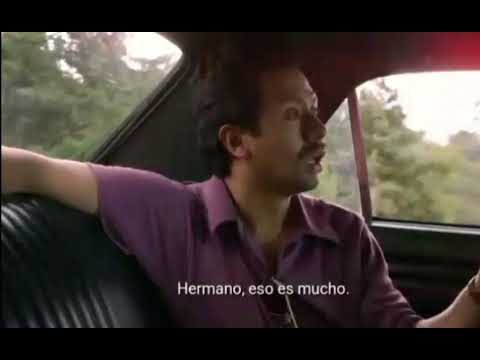 Narcos:Poison 65 papá!