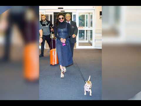 Priyanka Chopra with her puppy, Diana 2017