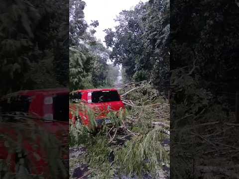 BR 101 Próximo a Ubaitaba-BA