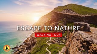 Stunning Nature Walk & Calming Music for Stress Relief