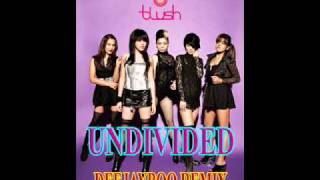 UNDIVIDED - BLUSH DEEJAYBOO REMIX .wmv