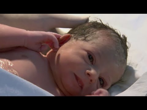 Beautiful Placenta Health Tracker