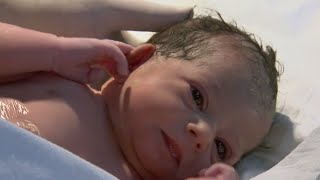 Does Placenta Size Matter | Horizon: The Nine Months that Made You | BBC Studios