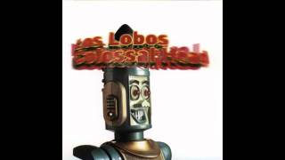 Los Lobos - Can't Stop The Rain