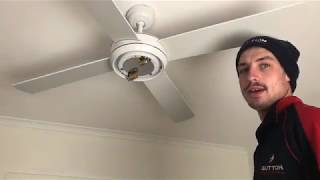 Ceiling Fan Installation | Sunbury Electrician | Melton Electrician