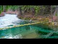 Fly Fishing An Insane River For Huge Trout Bull Trout Pt 2