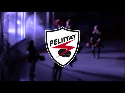 Maalikooste: Peliitat - LeKi 30.11.2018