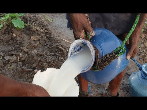 download lagu mp3 mp4 Coconut Kallu, download lagu Coconut Kallu gratis, unduh video klip Coconut Kallu