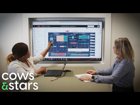 Dow Benelux | Diamond Center Flexible Way of Working | by Cows & Stars