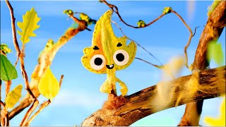 Ficus I  Trailer  I Psaroloco Festival