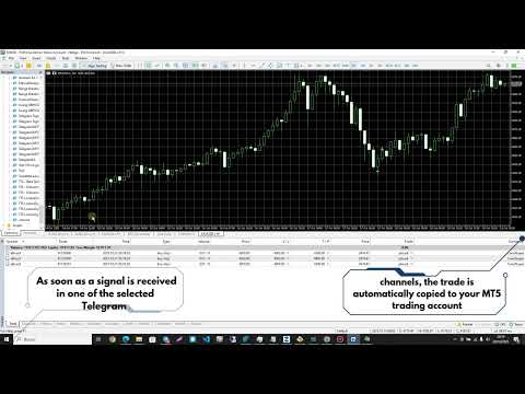 Video Telegram2MT5 Signal Copier