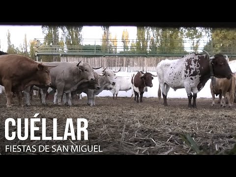 Cuéllar 2024 Toros 29 de Septiembre