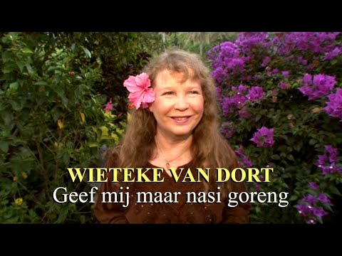 GEEF MIJ MAAR NASI GORENG - WIETEKE VAN DORT