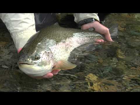 Alaska Bound Scene 1